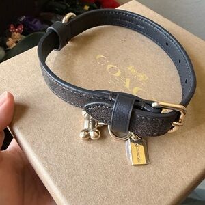 Coach Dark Brown Leather Pet Collar with Gold-Tone Hardware